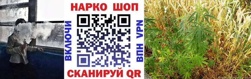 Где купить наркотики Пущино Каннабис  Галлюциногенные грибы  А ПВП  ГАШ  КОКАИН  Меф мяу мяу 