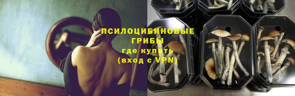 экстази Алексин