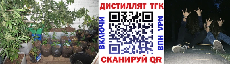 mega зеркало  Пущино  Дистиллят ТГК THC oil 