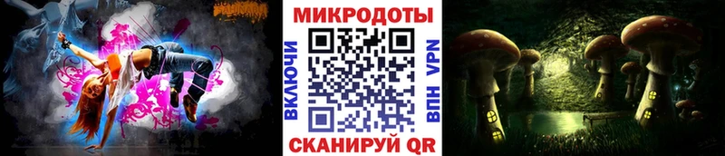 Галлюциногенные грибы Psilocybe  Пущино 