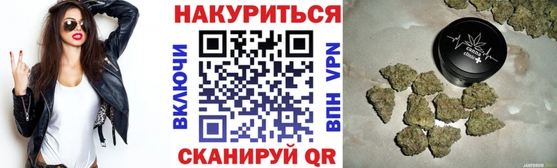 как найти закладки  Пущино  Бошки марихуана индика 